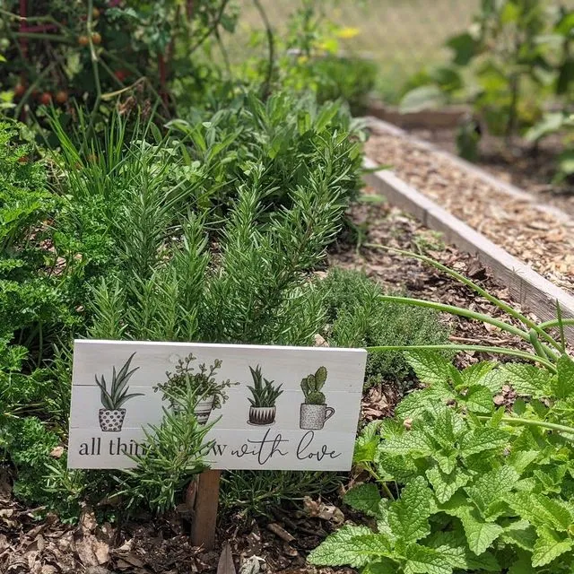 thumbnail for publication: Sensory Gardens